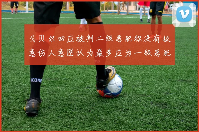 戈贝尔回应被判二级恶犯称没有故意伤人意图认为最多应为一级恶犯